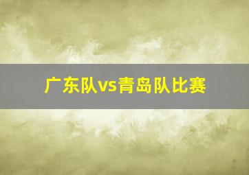 广东队vs青岛队比赛