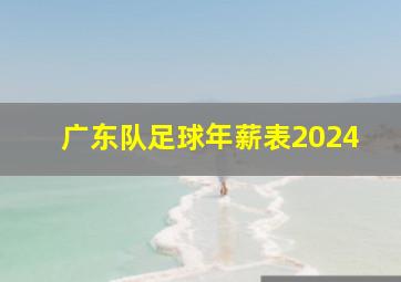 广东队足球年薪表2024