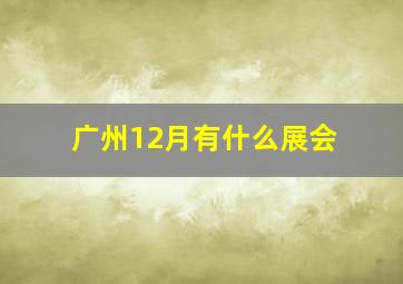 广州12月有什么展会