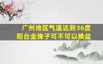 广州地区气温达到36度阳台金弹子可不可以换盆