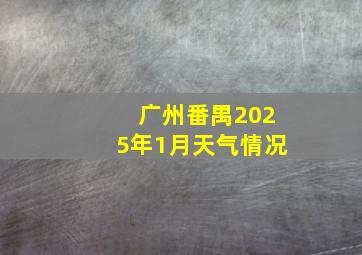 广州番禺2025年1月天气情况