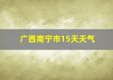 广西南宁市15天天气