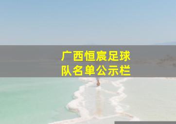 广西恒宸足球队名单公示栏