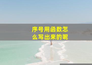 序号用函数怎么写出来的呢