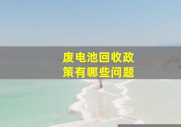 废电池回收政策有哪些问题