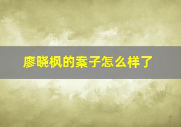 廖晓枫的案子怎么样了