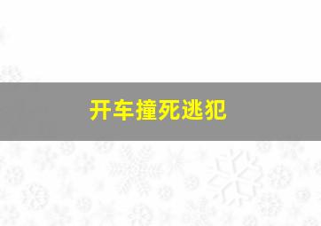 开车撞死逃犯