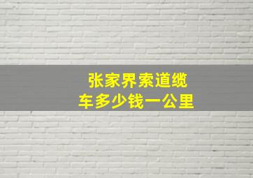 张家界索道缆车多少钱一公里