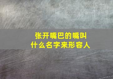 张开嘴巴的嘴叫什么名字来形容人