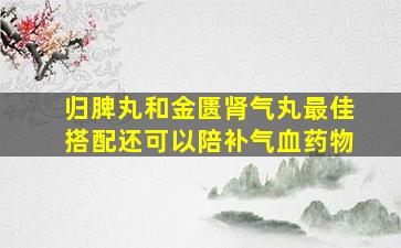 归脾丸和金匮肾气丸最佳搭配还可以陪补气血药物