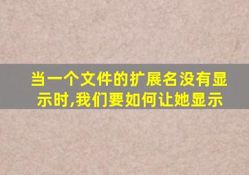 当一个文件的扩展名没有显示时,我们要如何让她显示