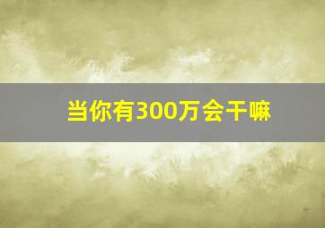 当你有300万会干嘛