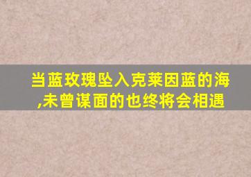 当蓝玫瑰坠入克莱因蓝的海,未曾谋面的也终将会相遇