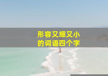 形容又细又小的词语四个字