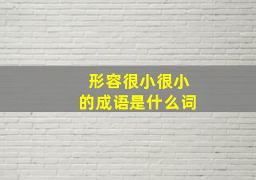 形容很小很小的成语是什么词