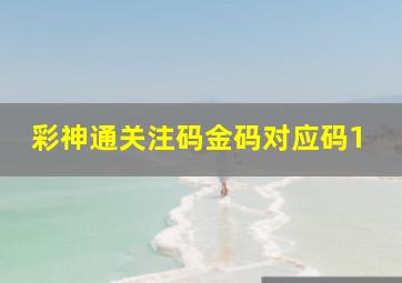 彩神通关注码金码对应码1