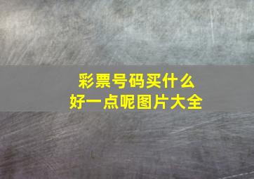 彩票号码买什么好一点呢图片大全