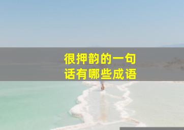 很押韵的一句话有哪些成语