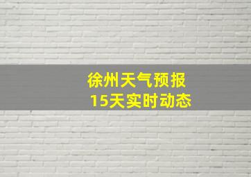 徐州天气预报15天实时动态