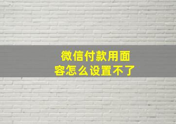 微信付款用面容怎么设置不了