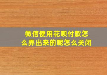 微信使用花呗付款怎么弄出来的呢怎么关闭