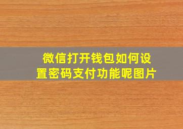 微信打开钱包如何设置密码支付功能呢图片