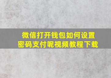 微信打开钱包如何设置密码支付呢视频教程下载