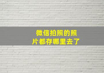 微信拍照的照片都存哪里去了