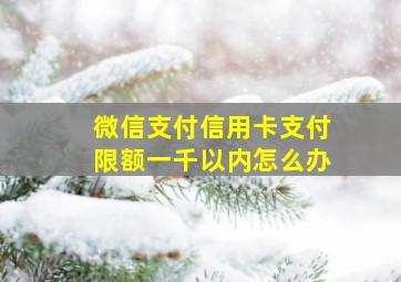 微信支付信用卡支付限额一千以内怎么办