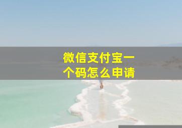 微信支付宝一个码怎么申请