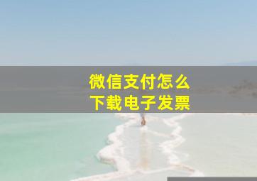 微信支付怎么下载电子发票