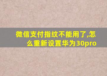 微信支付指纹不能用了,怎么重新设置华为30pro