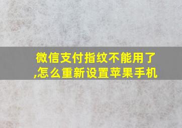 微信支付指纹不能用了,怎么重新设置苹果手机