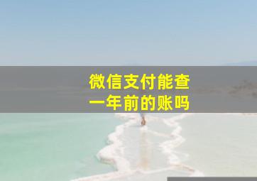 微信支付能查一年前的账吗