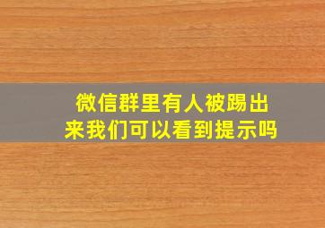 微信群里有人被踢出来我们可以看到提示吗