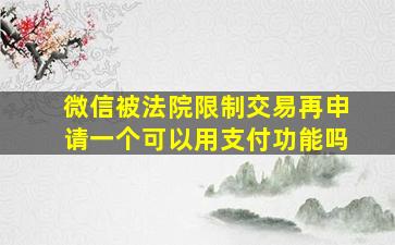 微信被法院限制交易再申请一个可以用支付功能吗