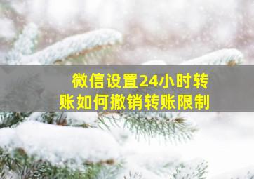 微信设置24小时转账如何撤销转账限制