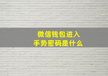 微信钱包进入手势密码是什么