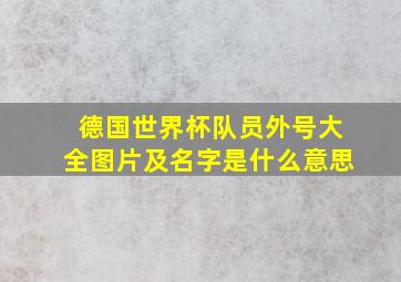 德国世界杯队员外号大全图片及名字是什么意思