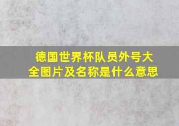 德国世界杯队员外号大全图片及名称是什么意思