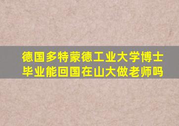 德国多特蒙德工业大学博士毕业能回国在山大做老师吗