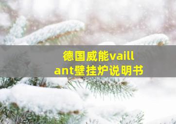 德国威能vaillant壁挂炉说明书