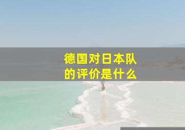 德国对日本队的评价是什么