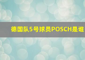 德国队5号球员POSCH是谁