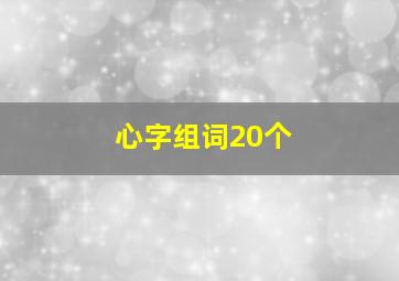 心字组词20个