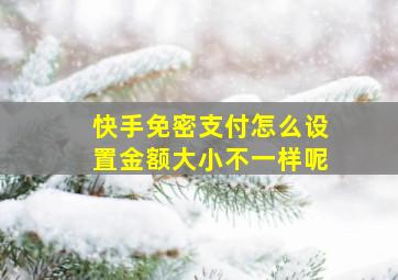 快手免密支付怎么设置金额大小不一样呢