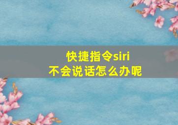 快捷指令siri不会说话怎么办呢