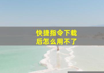 快捷指令下载后怎么用不了