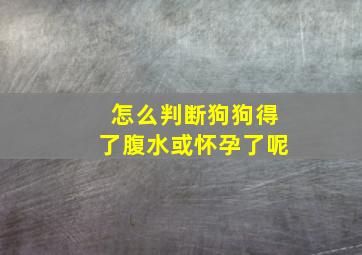 怎么判断狗狗得了腹水或怀孕了呢