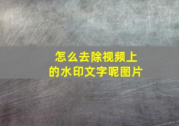 怎么去除视频上的水印文字呢图片